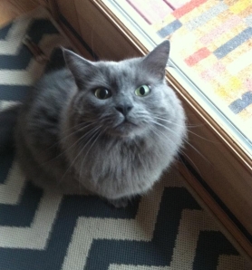 william